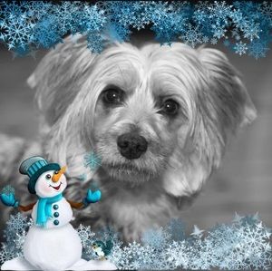 Meet your Posher, Marie-claude